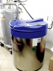 Liquid nitrogen vapor BIOSAFE 420